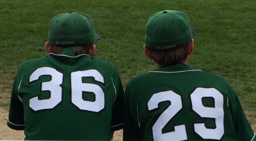 What is a Baseball Family?